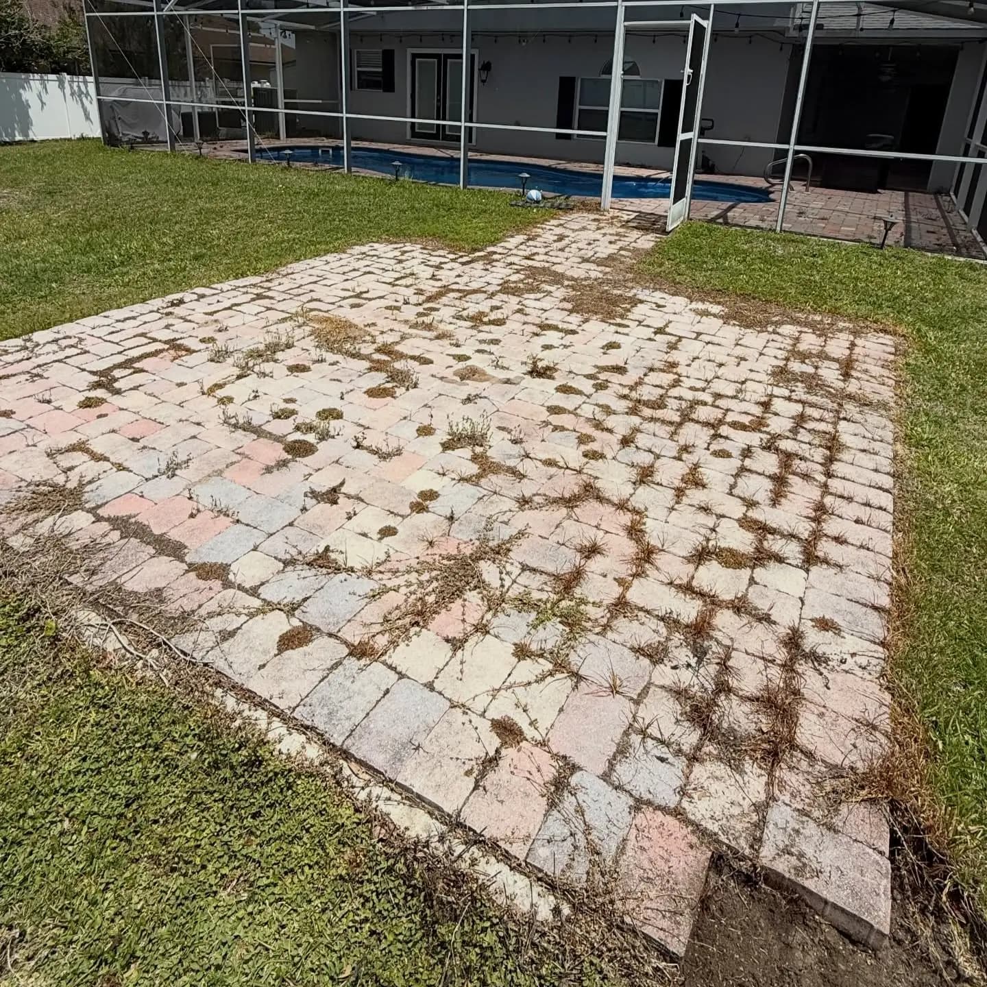 A screened pool patio with brick pavers overgrown with weeds before cleaning