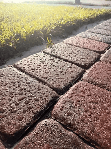 Close-up of sealed brick pavers with water beading on the wet-look finish